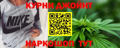 индика Дубна