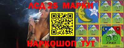 индика Дубна
