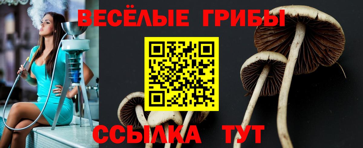 Псилоцибиновые грибы прущие грибы  купить наркоту  Минеральные Воды  Вход с VPN 